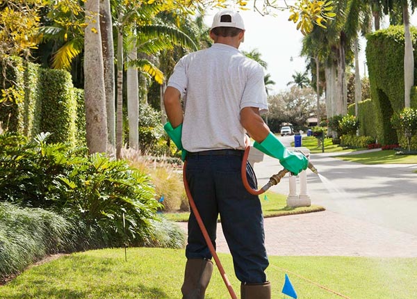 About Goodhue MN Pest Control